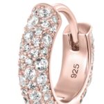 Luxury Round Pavé Moissanite S925 Hoop Earrings