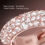 Luxury Round Pavé Moissanite S925 Hoop Earrings