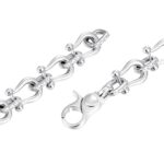 Moissanite Horseshoe Fortune Crypto Necklace