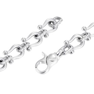 Moissanite Horseshoe Fortune Crypto Necklace