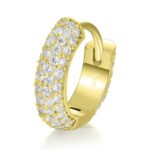 Luxury Round Pavé Moissanite S925 Hoop Earrings